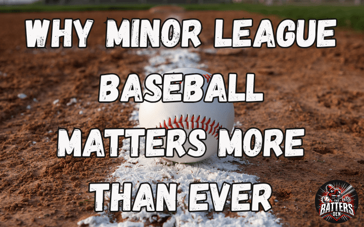 "Why Minor League Baseball Matters" blog image